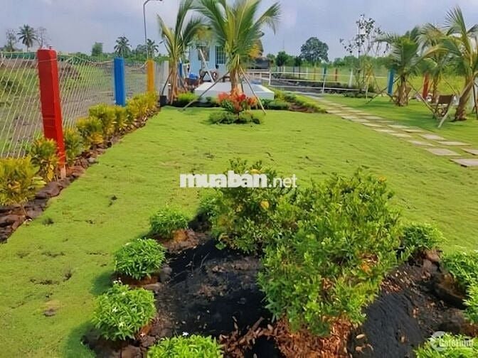 Đất nhà vườn Gần TTHC xả phú giáo HCM giá 550tr sổ sẳn