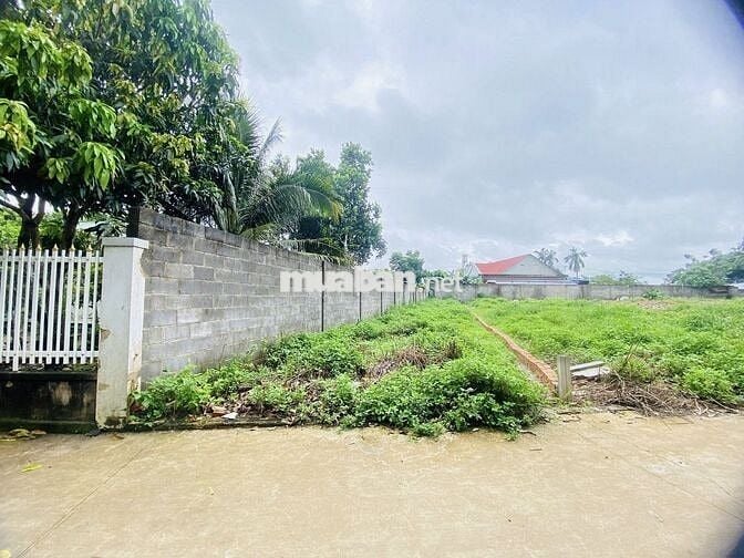 🔥 SIÊU NGỘP – 480M² FULL THỔ CƯ TRUNG TÂM DC DẦU GIÂY, GIÁ CHỈ 1.6 TỶ!