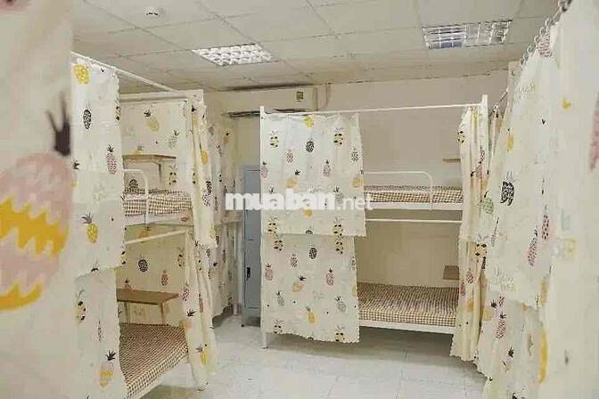 Cho thuê ký túc xá cao cấp – đầy đủ tiện nghi, có thang máy, hầm xe