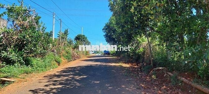 Đi định cư nước ngoài bán lỗ lô 889m2 giá 300 triệu có sẵn nhà cấp 4