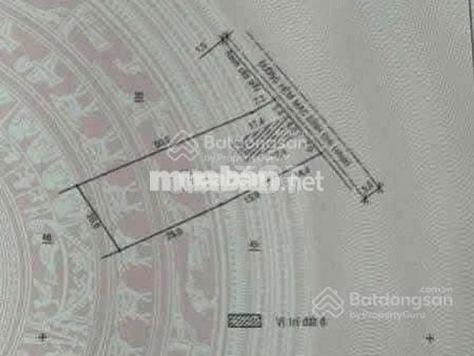 Đi định cư nước ngoài bán lỗ lô 889m2 giá 300 triệu có sẵn nhà cấp 4