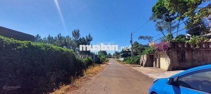 Đi định cư nước ngoài bán lỗ lô 889m2 giá 300 triệu có sẵn nhà cấp 4