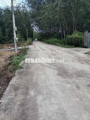 CẦN BÁN LÔ ĐẤT 2 MẶT TIỀN 250m2 TẠI BẾN CÁT