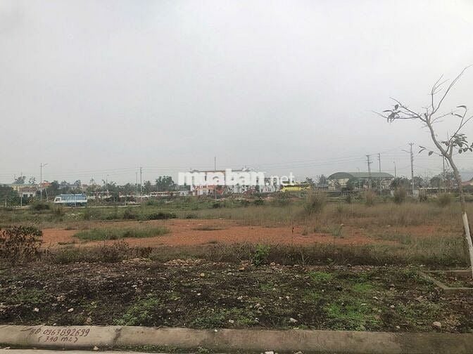 🌟 BÁN ĐẤT PHÂN LÔ ĐÔNG TRIỀU GIÁ TỐT  - 345m2 Đường quốc lệ 18