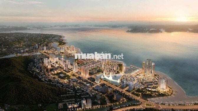 bán ngay căn độc quyền của toà tháp AriaBay