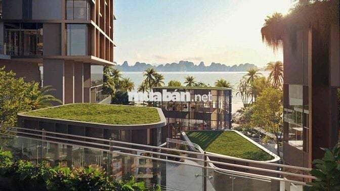 bán ngay căn độc quyền của toà tháp AriaBay