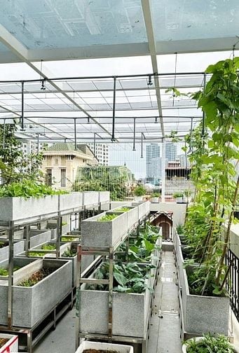 Xuân Đỉnh – Bắc Từ Liêm – 124 M2 – 5 T – MT 10 M – Giá 37.8 Tỷ. BIỆT T