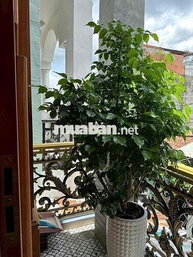 Bán Gấp Nhà 3 Tầng, 80m2, 4 phòng ngủ, đường Tô Ký, đường 12m thông