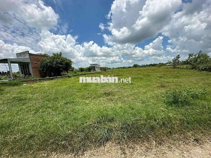 CHỦ NGỘP NGÂN HÀNG CẦN BÁN GẤP LÔ ĐẤT 1100M2 FULL THỔ CƯ, ĐƯC HOÀ, LA