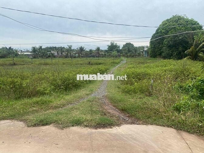 5x37 full thổ cư ,bê tông Lộc Hoà , SHR , đất bằng phẳng