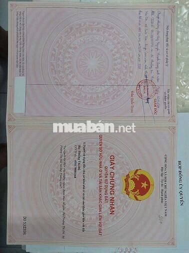 Kẹt tiền bán rẻ farm gần TP Phan Rang