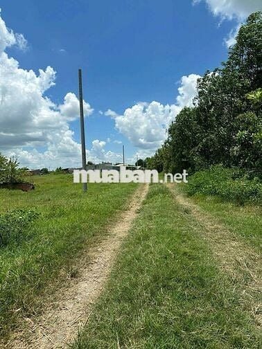 CHỦ NGỘP NGÂN HÀNG CẦN BÁN GẤP LÔ ĐẤT 1100M2 FULL THỔ CƯ, ĐƯC HOÀ, LA