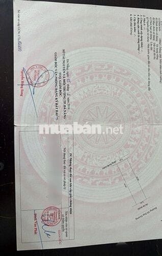 Bán đất Võ Duy Dương 100m²thông ra Mê Linh Nguyễn Bá Phát, giá 4,95 tỷ