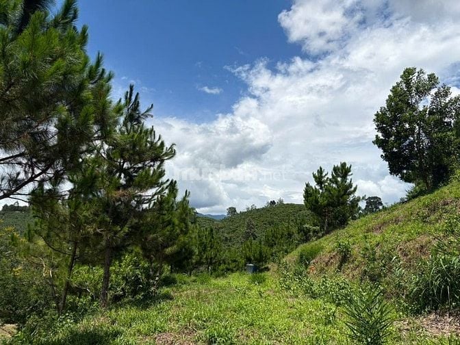 6000m² đất QH thổ cư mặt tiền B'Lao Xê Rê, view 360, khu dân cư 