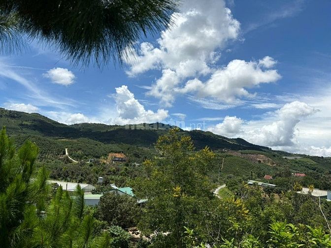 6000m² đất QH thổ cư mặt tiền B'Lao Xê Rê, view 360, khu dân cư 