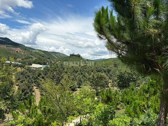 6000m² đất QH thổ cư mặt tiền B'Lao Xê Rê, view 360, khu dân cư 