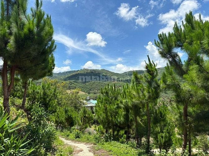 6000m² đất QH thổ cư mặt tiền B'Lao Xê Rê, view 360, khu dân cư 