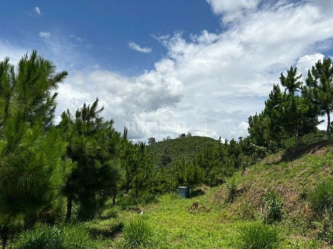 6000m² đất QH thổ cư mặt tiền B'Lao Xê Rê, view 360, khu dân cư 