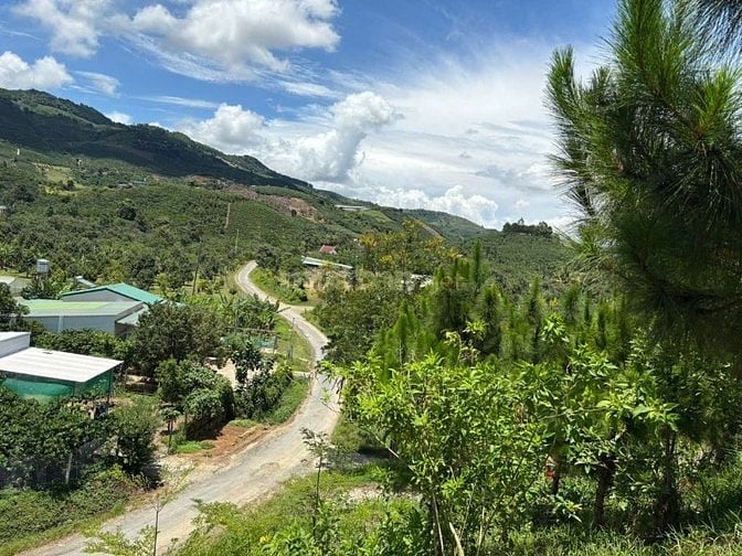 6000m² đất QH thổ cư mặt tiền B'Lao Xê Rê, view 360, khu dân cư 