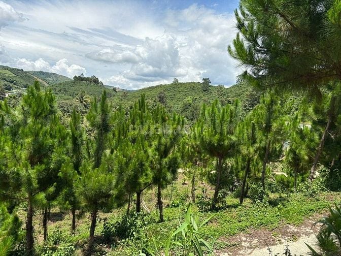 6000m² đất QH thổ cư mặt tiền B'Lao Xê Rê, view 360, khu dân cư 