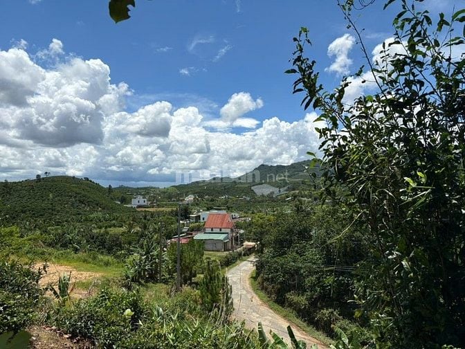 6000m² đất QH thổ cư mặt tiền B'Lao Xê Rê, view 360, khu dân cư 