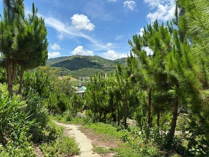 6000m² đất QH thổ cư mặt tiền B'Lao Xê Rê, view 360, khu dân cư 