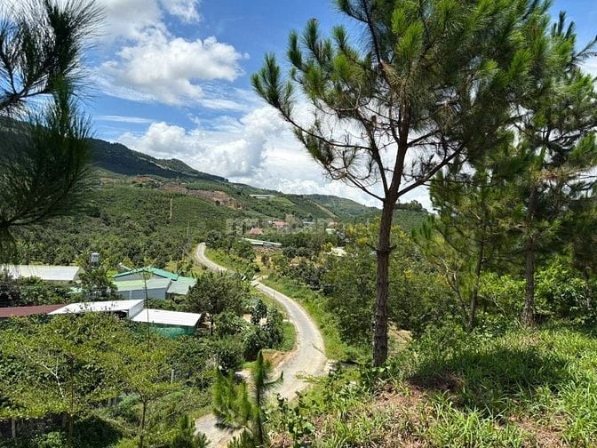 6000m² đất QH thổ cư mặt tiền B'Lao Xê Rê, view 360, khu dân cư 