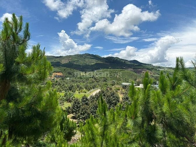 6000m² đất QH thổ cư mặt tiền B'Lao Xê Rê, view 360, khu dân cư 