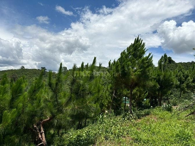 6000m² đất QH thổ cư mặt tiền B'Lao Xê Rê, view 360, khu dân cư 