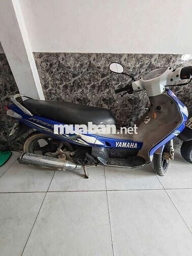 Nouvo 1 biển số tứ quý giá tốt trong ngày.