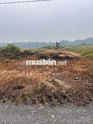 đất mặt tiền đường 60m đi sân bay long thành sổ riêng full thổ giá rẻ