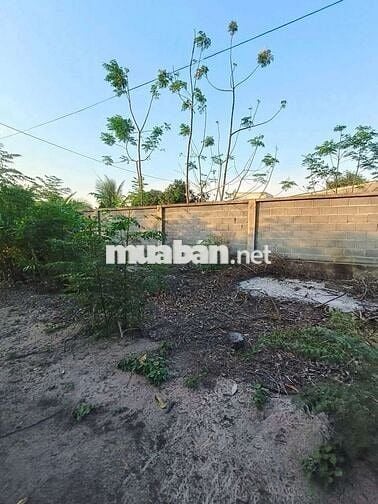 ĐẤT PHỦ HỒNG - ĐƯỜNG BÊ TÔNG - CÓ NHÀ C4 - GIÁ RẺ !