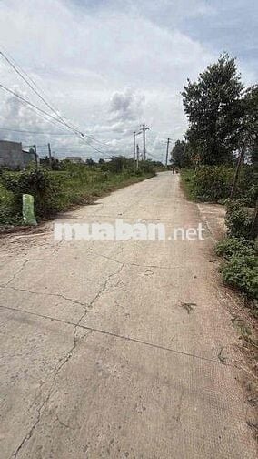 em chính chủ cần bán gấp miếng đất bgang 5 dài 34 mặt tiền đường