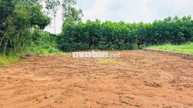 🔺Mặt tiền Lương Thế Vinh gần TL52 
Xã Đất Đỏ tp Hồ Chí Minh