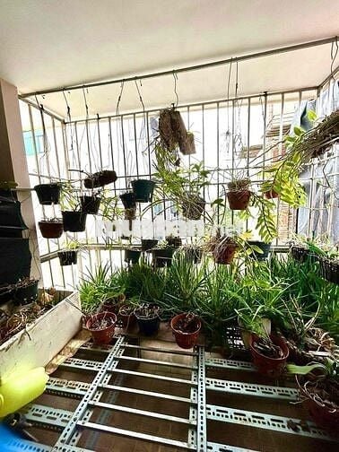 💥 MẶT NGÁCH Ô TÔ – 46M – KINH DOANH ĐỈNH – BAY NHANH 💥💥💥