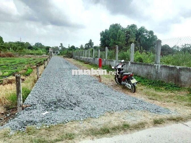 Chỉ 699 tr sở hữu 505m2 đất vườn chuyển thổ KCN AN nhựt Tân