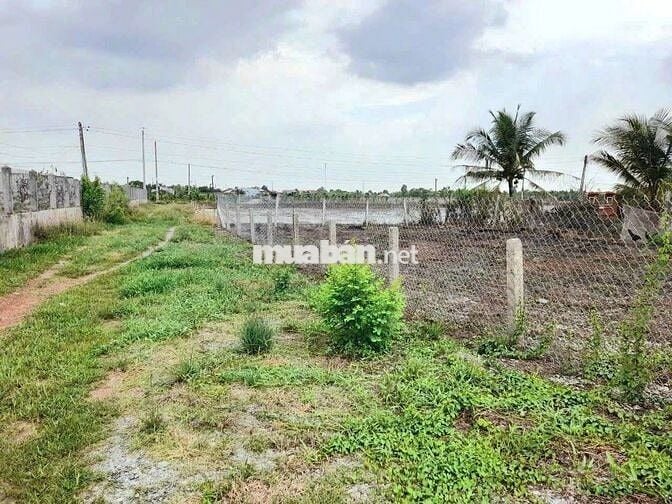 Chỉ 699 tr sở hữu 505m2 đất vườn chuyển thổ KCN AN nhựt Tân