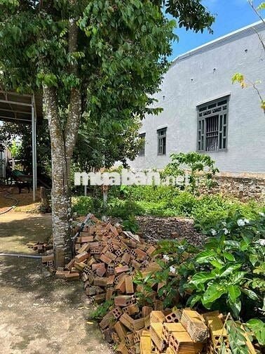 Chính chủ cần bán đất mặt tiền Đakai-Đức Linh - Bình Thuận- 1.39 Tỷ