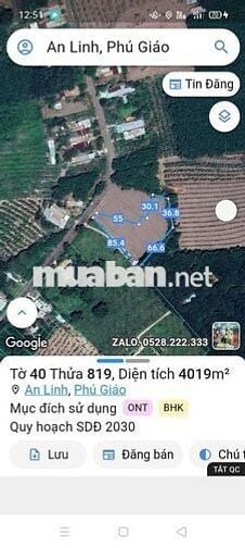 Đất sào xã An Linh 4.000m² có 300m thổ cư giá bán 2 tỷ 500 triệu
