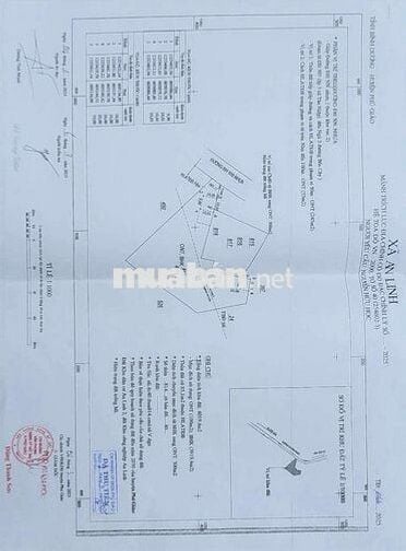 Đất sào xã An Linh 4.000m² có 300m thổ cư giá bán 2 tỷ 500 triệu