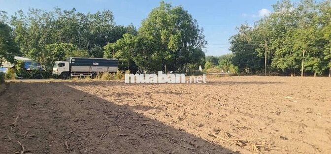 Đất sào xã An Linh 4.000m² có 300m thổ cư giá bán 2 tỷ 500 triệu