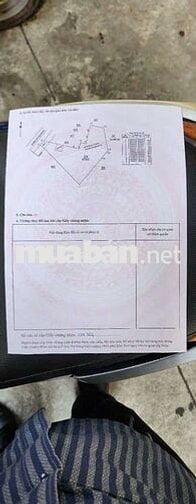 Đất sào xã An Linh 4.000m² có 300m thổ cư giá bán 2 tỷ 500 triệu