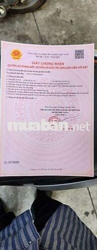 Đất sào xã An Linh 4.000m² có 300m thổ cư giá bán 2 tỷ 500 triệu