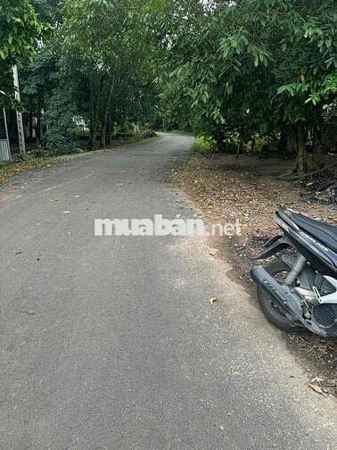 Cần bán đất có thổ cư  mặt tiền đường nhựa An Long, Phú Giáo.