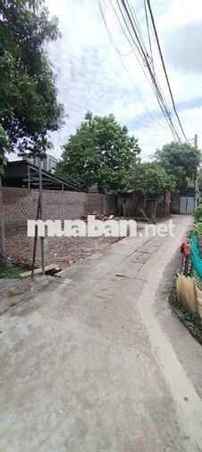 Bán đất ngõ 5 Thanh Lãm, 90m2, có sổ lô góc 2 thoáng, oto vào, 50tr/m2