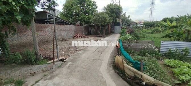 Bán đất ngõ 5 Thanh Lãm, 90m2, có sổ lô góc 2 thoáng, oto vào, 50tr/m2