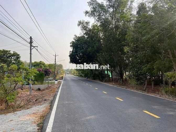 Lô Đất Mặt Tiền DH519 Cần Bán Gấp