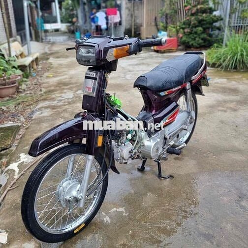 Draem Hq dọn fun new hồng hồ coso 2 cái biển 64 zi