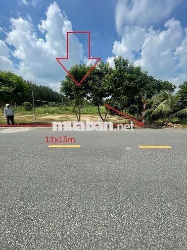 Góc 2 MT Nguyễn Thị Lắng Sổ Riêng 11x15 1tỷ450tr, Nhựa 9m,Vay Full Giá