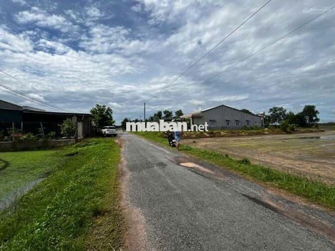 Gấp! Đất 712m2 tại Lộc Hưng, Trảng Bàng, SHR, giá chỉ 1,1 tỷ VND